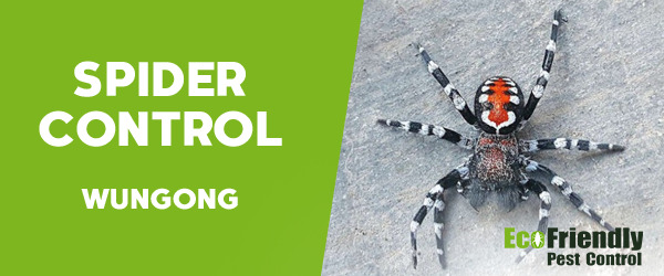 Spider Control Wungong