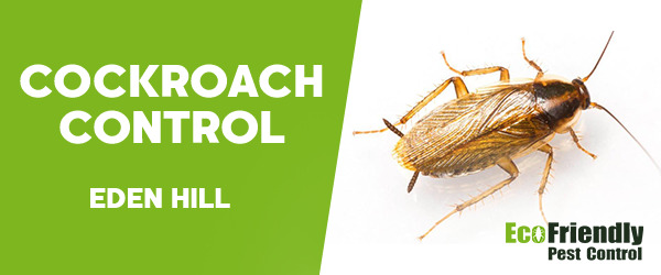 Cockroach Control  Eden Hill  