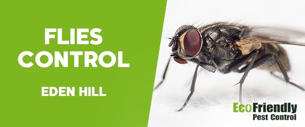 Flies Control  Eden Hill 