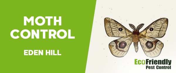 Moth Control  Eden Hill 