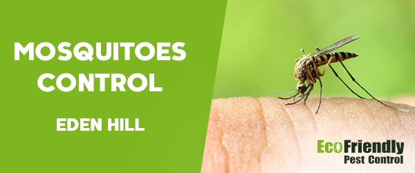 Mosquitoes Control  Eden Hill 