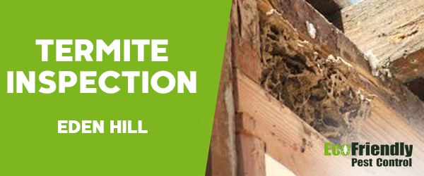 Termite Inspection  Eden Hill 