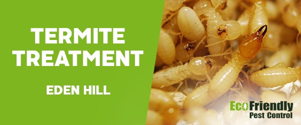Termite Control  Eden Hill 