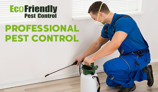 Pest Control Service