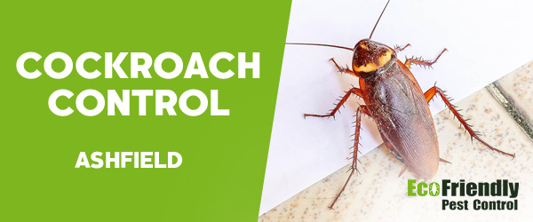 Cockroach Control Ashfield