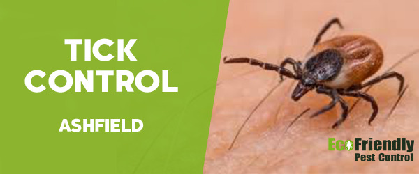 Ticks Control Ashfield