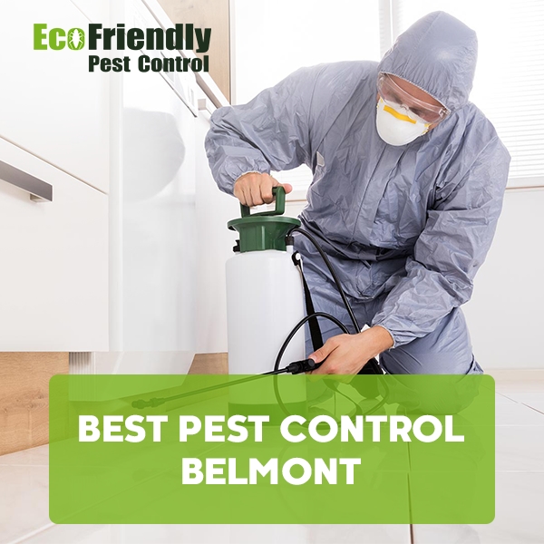 Best Pest Control  Belmont 