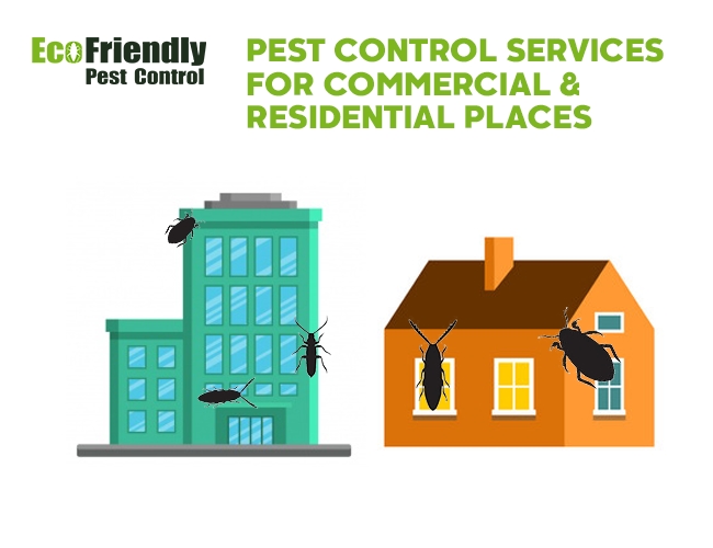 Pest Control Floreat 