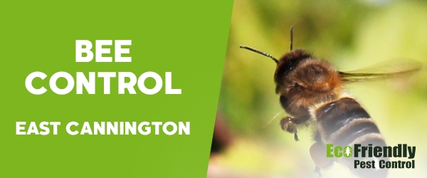 Bee Control  East Cannington 