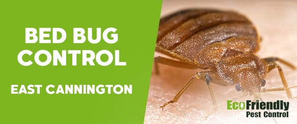 Bed Bug Control  East Cannington 