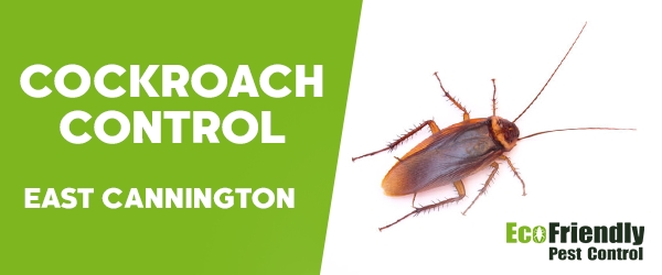 Cockroach Control  East Cannington  