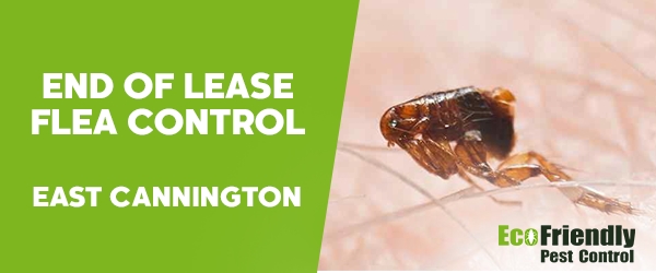 End of Lease Flea Control  East Cannington 