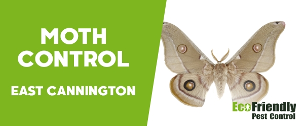 Moth Control  East Cannington 