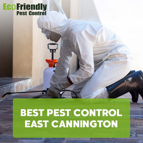 Best Pest Control  East Cannington 