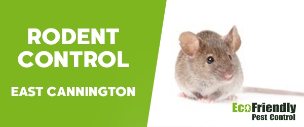 Rodent Treatment  East Cannington 
