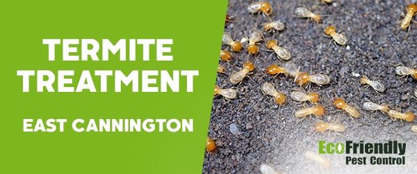Termite Control  East Cannington 