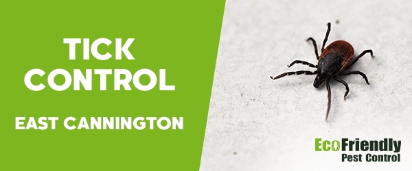 Ticks Control  East Cannington 