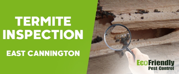 Termite Inspection  East Cannington 