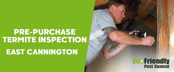 Pre-purchase Termite Inspection  East Cannington 
