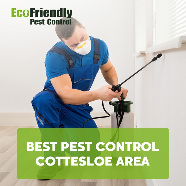 Best Pest Control Cottesloe