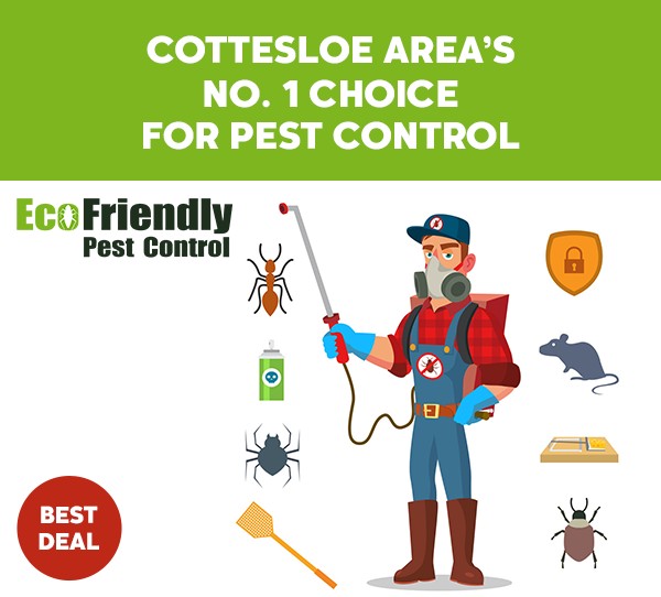 Pest Control Cottesloe