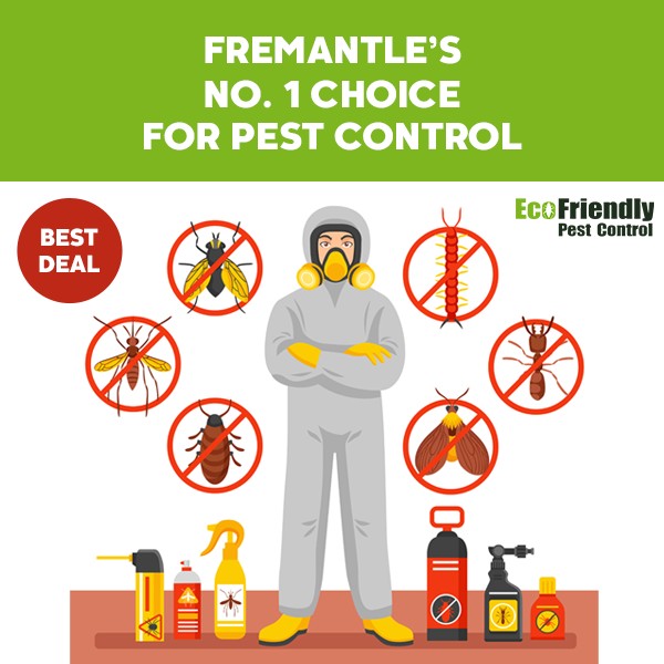 Pest Control Fremantle