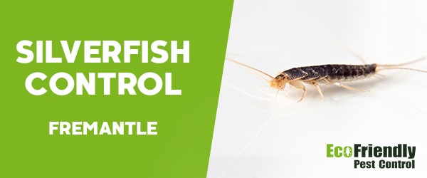 Silverfish Control  Fremantle 