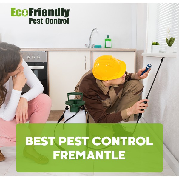 Best Pest Control  Fremantle 