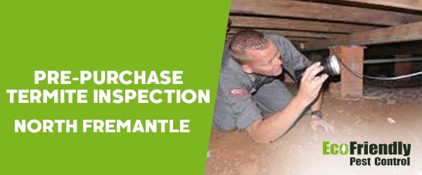 Pre-purchase Termite Inspection  North Fremantle 