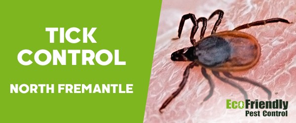 Ticks Control  North Fremantle 