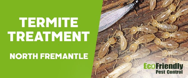 Termite Control  North Fremantle 