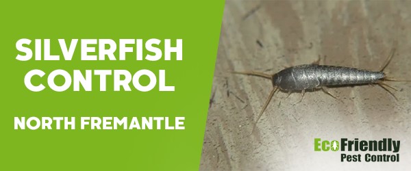 Silverfish Control  North Fremantle 