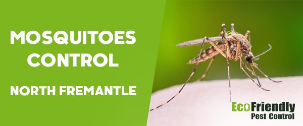 Mosquitoes Control  North Fremantle 