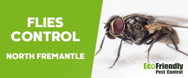 Flies Control  North Fremantle 