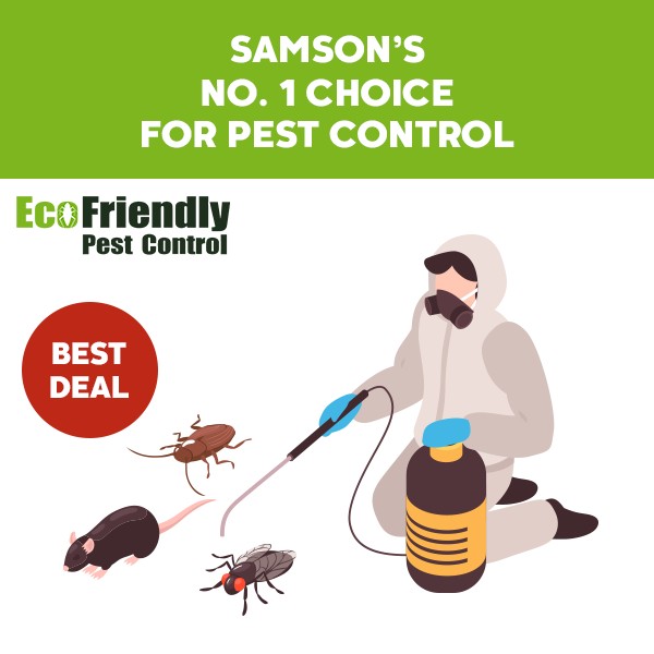 Pest Control Samson