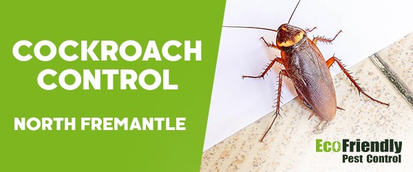 Cockroach Control  North Fremantle  