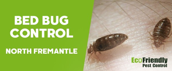 Bed Bug Control  North Fremantle 