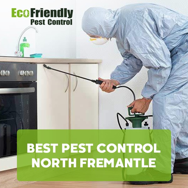 Best Pest Control  North Fremantle 