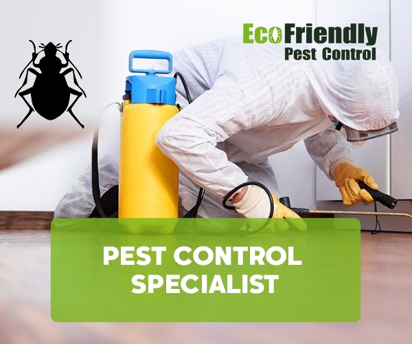 Pest Control White Gum Valley