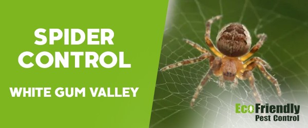 Pest Control White Gum Valley