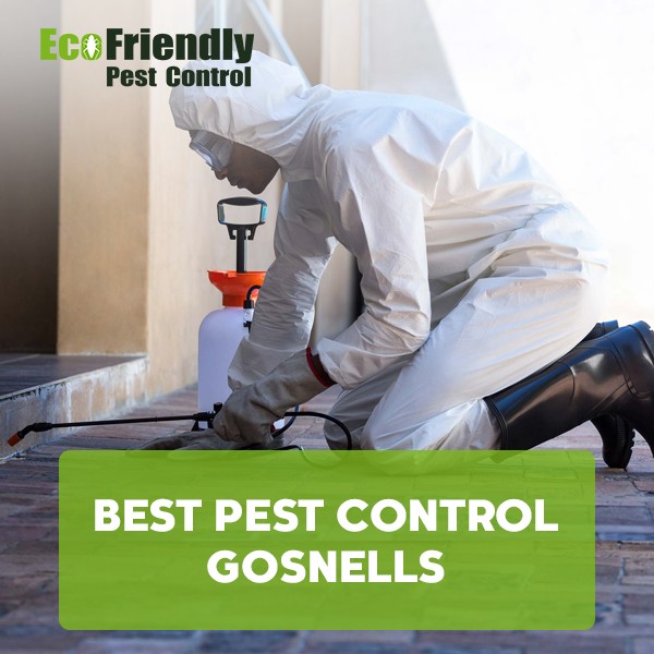 Best Pest Control Gosnells