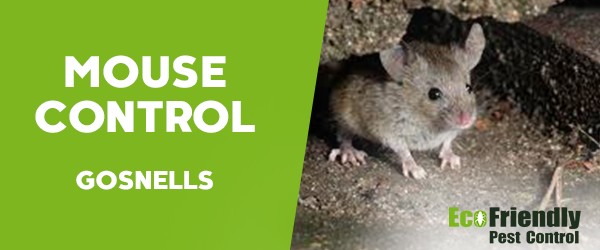 Pest Control Gosnells