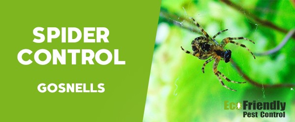 Pest Control Gosnells