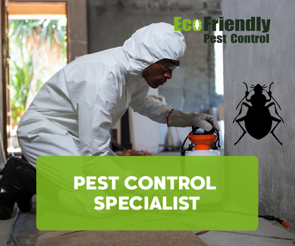 Pest Control Specialist