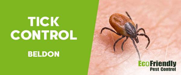 Ticks Control  Beldon 