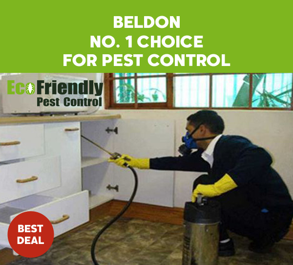 Pest Control Beldon