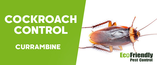 Cockroach Control  Currambine  