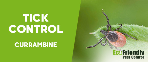 Ticks Control  Currambine 