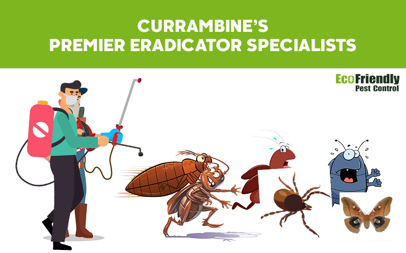 Pest Control Currambine