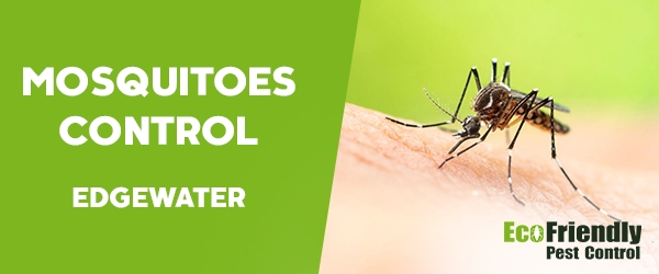 Mosquitoes Control  Edgewater 